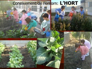 Coneixement de l’entorn:   L’HORT 