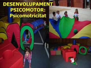 DESENVOLUPAMENT PSICOMOTOR: Psicomotricitat 