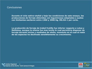 Conclusiones Durante el ciclo estivo-otoñal y bajo las condiciones de este ensayo, las  producciones de forraje obtenidas con leguminosas adaptadas a suelos con limitantes oscilaron entre 1300 y 2900 Kg. MS.HA-1 por corte. La producción de forraje de trebol frutilla fue inferior respecto a Lotus y Melilotus, aunque la misma fue mas tardía lo cual permitiría disponer de forraje durante inicios y mediados de otoño, momento en el cual el resto de las especies ha declinado sensiblemente su crecimiento. 
