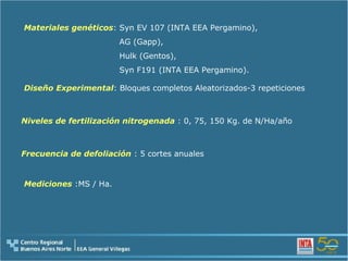Niveles de fertilización nitrogenada  : 0, 75, 150 Kg. de N/Ha/año Mediciones  :MS / Ha. Frecuencia de defoliación  : 5 cortes anuales Diseño Experimental : Bloques completos Aleatorizados-3 repeticiones Materiales genéticos : Syn EV 107 (INTA EEA Pergamino), AG (Gapp),  Hulk (Gentos),  Syn F191 (INTA EEA Pergamino). 