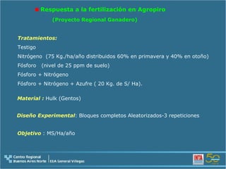 Respuesta a la fertilización en Agropiro Objetivo   : MS/Ha/año Material :  Hulk (Gentos) Diseño Experimental : Bloques completos Aleatorizados-3 repeticiones (Proyecto Regional Ganadero) Tratamientos: Testigo Nitrógeno  (75 Kg./ha/año distribuidos 60% en primavera y 40% en otoño) Fósforo  (nivel de 25 ppm de suelo) Fósforo + Nitrógeno Fósforo + Nitrógeno + Azufre ( 20 Kg. de S/ Ha). 