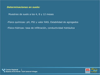 Determinaciones en suelo: -Físico químicas: pH, PSI y valor RAS. Estabilidad de agregados -Físico-hídricas: tasa de infiltración, conductividad hidráulica .  Muestreo de suelo a los 4, 8 y 12 meses 