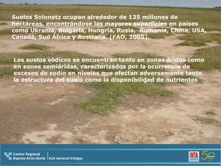 Suelos Solonetz ocupan alrededor de 135 millones de hectáreas, encontrándose las mayores superficies en países como Ukrania, Bulgaria, Hungría, Rusia,  Rumania, China, USA, Canadá, Sud África y Australia. (FAO, 2005). Los suelos sódicos se encuentran tanto en zonas áridas como en zonas semiáridas, caracterizados por la ocurrencia de excesos de sodio en niveles que afectan adversamente tanto la estructura del suelo como la disponibilidad de nutrientes  