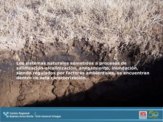 Los sistemas naturales sometidos a procesos de salinización-alcalinización, anegamiento, inundación, siendo regulados por factores ambientales, se encuentran dentro de esta caracterización. 