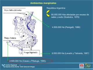 4.500.000 Ha  (Panigatti, 1986) 9.000.000 Ha (Lavado y Taboada, 1987)   2.500.000 Ha (Casas y Pittaluga, 1990). República Argentina 85.000.000 Has afectadas  por exceso de sales y sodio (Szabolcs, 1979) Ambientes marginales 