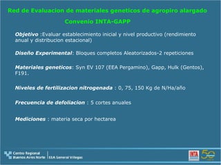 Red de Evaluacion de materiales geneticos de agropiro alargado Convenio INTA-GAPP Objetivo  :Evaluar establecimiento inicial y nivel productivo (rendimiento anual y distribucion estacional) Materiales geneticos : Syn EV 107 (EEA Pergamino), Gapp, Hulk (Gentos), F191. Diseño Experimental : Bloques completos Aleatorizados-2 repeticiones Niveles de fertilizacion nitrogenada  : 0, 75, 150 Kg de N/Ha/año Frecuencia de defoliacion  : 5 cortes anuales Mediciones  : materia seca por hectarea 
