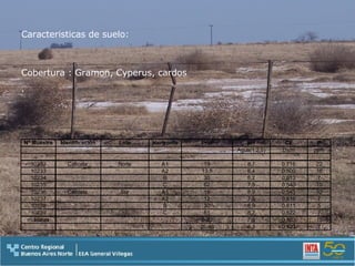 Caracteristicas de suelo: Cobertura : Gramon, Cyperus, cardos . 