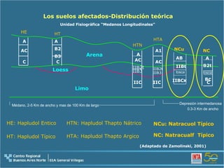 Limo Loess HE HT HTN HTA NC Arena A AC C AC B2 B3 C A IIB2t IIB3 IIC IIC A1 IIB2t AC A B2t B c C IIB3 HE: Hapludol Entico HT: Hapludol Típico HTN: Hapludol Thapto Nátrico HTA: Hapludol Thapto Argico NC: Natracualf  Típico (Adaptado de Zamolinski, 2001) A Los suelos afectados-Distribución teórica NCu NCu: Natracuol Típico AB IIBt IIBC K tosca Depresión intermedanosa 0.3-3 Km de ancho   Médano ,  2-5 Km de ancho y mas de 100 Km de largo Unidad Fisiográfica “Medanos Longitudinales” tosca 