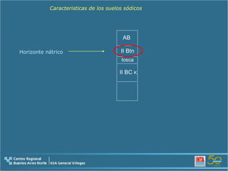 tosca II Btn II BC  K AB Caracteristicas de los suelos sódicos Horizonte nátrico 