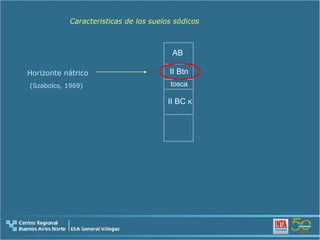 tosca II Btn II BC  K AB Caracteristicas de los suelos sódicos Horizonte nátrico (Szabolcs, 1969) 