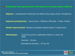 Evaluación de Leguminosas Forrajeras en suelos salino-sódicos Objetivo   : Implantación-Producción de Materia Seca bajo cortes- Especies participantes  : Lotus tenuis , Melilotus officinalis , Trebol Diseño Experimental : Bloques completos Aleatorizados-3 repeticiones Metodología   : Siembra : Directa Control de gramon (glifosato)-febrero y marzo de 2006 Persistencia frutilla Densidad de siembra : 10 Kg./Ha 