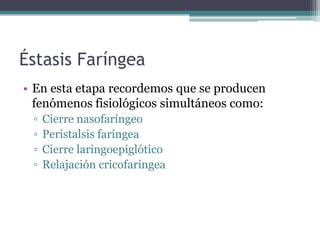 Éstasis Faríngea
• En esta etapa recordemos que se producen
fenómenos fisiológicos simultáneos como:
▫
▫
▫
▫

Cierre nasofaríngeo
Peristalsis faríngea
Cierre laringoepiglótico
Relajación cricofaríngea

 