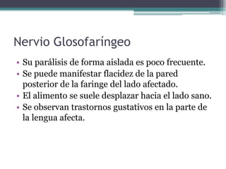 Nervio Glosofaríngeo
• Su parálisis de forma aislada es poco frecuente.
• Se puede manifestar flacidez de la pared
posterior de la faringe del lado afectado.
• El alimento se suele desplazar hacia el lado sano.
• Se observan trastornos gustativos en la parte de
la lengua afecta.

 