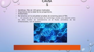 Jornada 1 Comprendiendo el Autismo en la escuela Inclusiva 2025 TEA.pptx