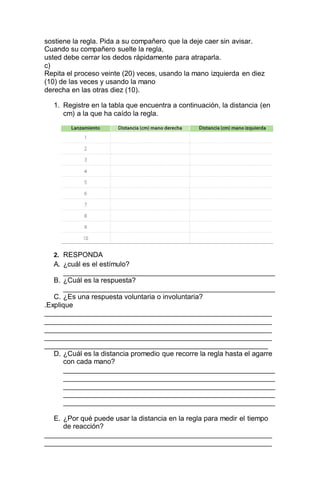 sostiene la regla. Pida a su compañero que la deje caer sin avisar.
Cuando su compañero suelte la regla,
usted debe cerrar los dedos rápidamente para atraparla.
c)
Repita el proceso veinte (20) veces, usando la mano izquierda en diez
(10) de las veces y usando la mano
derecha en las otras diez (10).
1. Registre en la tabla que encuentra a continuación, la distancia (en
cm) a la que ha caído la regla.
2. RESPONDA
A. ¿cuál es el estímulo?
______________________________________________________
B. ¿Cuál es la respuesta?
______________________________________________________
C. ¿Es una respuesta voluntaria o involuntaria?
.Explique
__________________________________________________________
__________________________________________________________
__________________________________________________________
__________________________________________________________
_________________________________________________________
D. ¿Cuál es la distancia promedio que recorre la regla hasta el agarre
con cada mano?
______________________________________________________
______________________________________________________
______________________________________________________
______________________________________________________
______________________________________________________
E. ¿Por qué puede usar la distancia en la regla para medir el tiempo
de reacción?
__________________________________________________________
__________________________________________________________
 