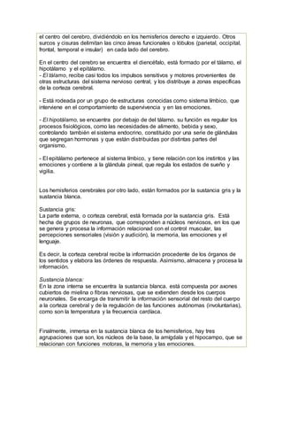 el centro del cerebro, dividiéndolo en los hemisferios derecho e izquierdo. Otros
surcos y cisuras delimitan las cinco áreas funcionales o lóbulos (parietal, occipital,
frontal, temporal e insular) en cada lado del cerebro.
En el centro del cerebro se encuentra el diencéfalo, está formado por el tálamo, el
hipotálamo y el epitálamo.
- El tálamo, recibe casi todos los impulsos sensitivos y motores provenientes de
otras estructuras del sistema nervioso central, y los distribuye a zonas específicas
de la corteza cerebral.
- Está rodeada por un grupo de estructuras conocidas como sistema límbico, que
interviene en el comportamiento de supervivencia y en las emociones.
- El hipotálamo, se encuentra por debajo de del tálamo. su función es regular los
procesos fisiológicos, como las necesidades de alimento, bebida y sexo,
controlando también el sistema endocrino, constituido por una serie de glándulas
que segregan hormonas y que están distribuidas por distintas partes del
organismo.
- El epitálamo pertenece al sistema límbico, y tiene relación con los instintos y las
emociones y contiene a la glándula pineal, que regula los estados de sueño y
vigilia.
Los hemisferios cerebrales por otro lado, están formados por la sustancia gris y la
sustancia blanca.
Sustancia gris:
La parte externa, o corteza cerebral, está formada por la sustancia gris. Está
hecha de grupos de neuronas, que corresponden a núcleos nerviosos, en los que
se genera y procesa la información relacionad con el control muscular, las
percepciones sensoriales (visión y audición), la memoria, las emociones y el
lenguaje.
Es decir, la corteza cerebral recibe la información procedente de los órganos de
los sentidos y elabora las órdenes de respuesta. Asimismo, almacena y procesa la
información.
Sustancia blanca:
En la zona interna se encuentra la sustancia blanca. está compuesta por axones
cubiertos de mielina o fibras nerviosas, que se extienden desde los cuerpos
neuronales. Se encarga de transmitir la información sensorial del resto del cuerpo
a la corteza cerebral y de la regulación de las funciones autónomas (involuntarias),
como son la temperatura y la frecuencia cardíaca.
Finalmente, inmersa en la sustancia blanca de los hemisferios, hay tres
agrupaciones que son, los núcleos de la base, la amígdala y el hipocampo, que se
relacionan con funciones motoras, la memoria y las emociones.
 