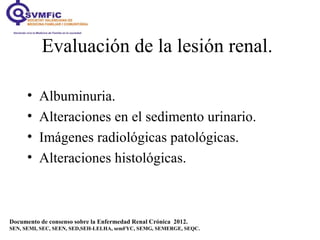 Evaluación de la lesión renal.
Documento de consenso sobre la Enfermedad Renal Crónica 2012.
SEN, SEMI, SEC, SEEN, SED,SEH-LELHA, semFYC, SEMG, SEMERGE, SEQC.
• Albuminuria.
• Alteraciones en el sedimento urinario.
• Imágenes radiológicas patológicas.
• Alteraciones histológicas.
 