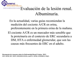 Evaluación de la lesión renal.
Albuminuria.
Documento de consenso sobre la Enfermedad Renal Crónica 2012.
SEN, SEMI, SEC, SEEN, SED,SEH-LELHA, semFYC, SEMG, SEMERGE, SEQC.
En la actualidad, varias guías recomiendan la
medición del cociente A/CR en orina,
preferentemente en la primera orina de la mañana.
El cociente A/CR es un marcador más sensible que
la proteinuria en el contexto de ERC secundaria a
DM, HTA o enfermedad glomerular, que son las
causas más frecuentes de ERC en el adulto.
 