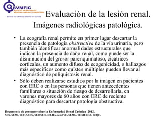 Documento de consenso sobre la Enfermedad Renal Crónica 2012.
SEN, SEMI, SEC, SEEN, SED,SEH-LELHA, semFYC, SEMG, SEMERGE, SEQC.
• La ecografía renal permite en primer lugar descartar la
presencia de patología obstructiva de la vía urinaria, pero
también identificar anormalidades estructurales que
indican la presencia de daño renal, como puede ser la
disminución del grosor parenquimatoso, cicatrices
corticales, un aumento difuso de ecogenicidad, o hallazgos
más específicos como quistes múltiples pueden llevar al
diagnóstico de poliquistosis renal.
• Sólo deben realizarse estudios por la imagen en pacientes
con ERC o en las personas que tienen antecedentes
familiares o situación de riesgo de desarrollarla, en
varones mayores de 60 años con ERC de reciente
diagnóstico para descartar patología obstructiva.
Evaluación de la lesión renal.
Imágenes radiológicas patológica.
 