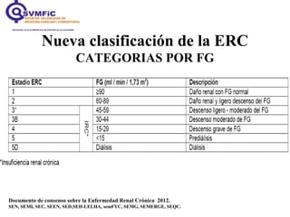 Nueva clasificación de la ERC
CATEGORIAS POR FG
Documento de consenso sobre la Enfermedad Renal Crónica 2012.
SEN, SEMI, SEC, SEEN, SED,SEH-LELHA, semFYC, SEMG, SEMERGE, SEQC.
 