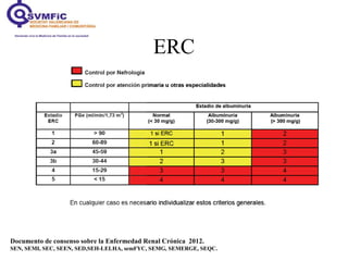 ERC
Documento de consenso sobre la Enfermedad Renal Crónica 2012.
SEN, SEMI, SEC, SEEN, SED,SEH-LELHA, semFYC, SEMG, SEMERGE, SEQC.
 