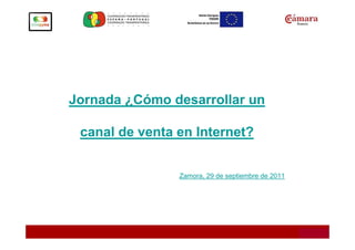 Jornada ¿Cómo desarrollar un

 canal de venta en Internet?


                Zamora, 29 de septiembre de 2011
 