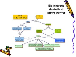 Els itineraris d’estudis al nostre institut 
