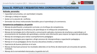 Anexo 02: PERFILES Y REQUISITOS PARA COORDINADORES PEDAGÓGICOS 
Actitudes personales: 
• Capacidad comunicativa, con asertividad / empatía 
• Liderazgo y trabajo en equipo 
• Gestor en la solución de conflictos 
• Generador de climas institucionales favorables para el aprendizaje y la convivencia. 
Competencias pedagógicas y de gestión 
• Manejo de planificación y evaluación curricular, en el enfoque de competencias. 
• Manejo de estrategias de enseñanza y de aprendizaje en el enfoque de competencias. 
• Manejo de tecnologías de la información y comunicación aplicadas al proceso de enseñanza y aprendizaje y el 
procesamiento de resultados del aprendizaje y orientar esta información para mejorar los logros de aprendizajes. 
• Manejo de estrategias para realizar acompañamiento pedagógico 
• Manejo de estrategias para organizar y dirigir procesos de interaprendizaje y capacitación pedagógica. 
• Manejo en el uso pedagógico de los recursos educativos (medios y materiales). 
• Experiencia de buenas prácticas en el aula. 
• Manejo de Excel para procesar los resultados obtenidos en las fichas de observación y/o encuestas de opinión, 
realizadas. 
• Manejo de la normatividad relacionado a la gestión de la IE. 
 