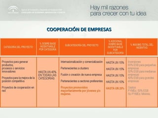 COOPERACIÓN DE EMPRESAS 