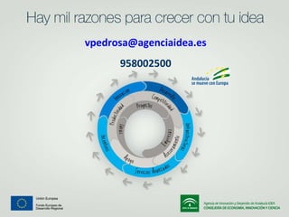 [email_address] 958002500 