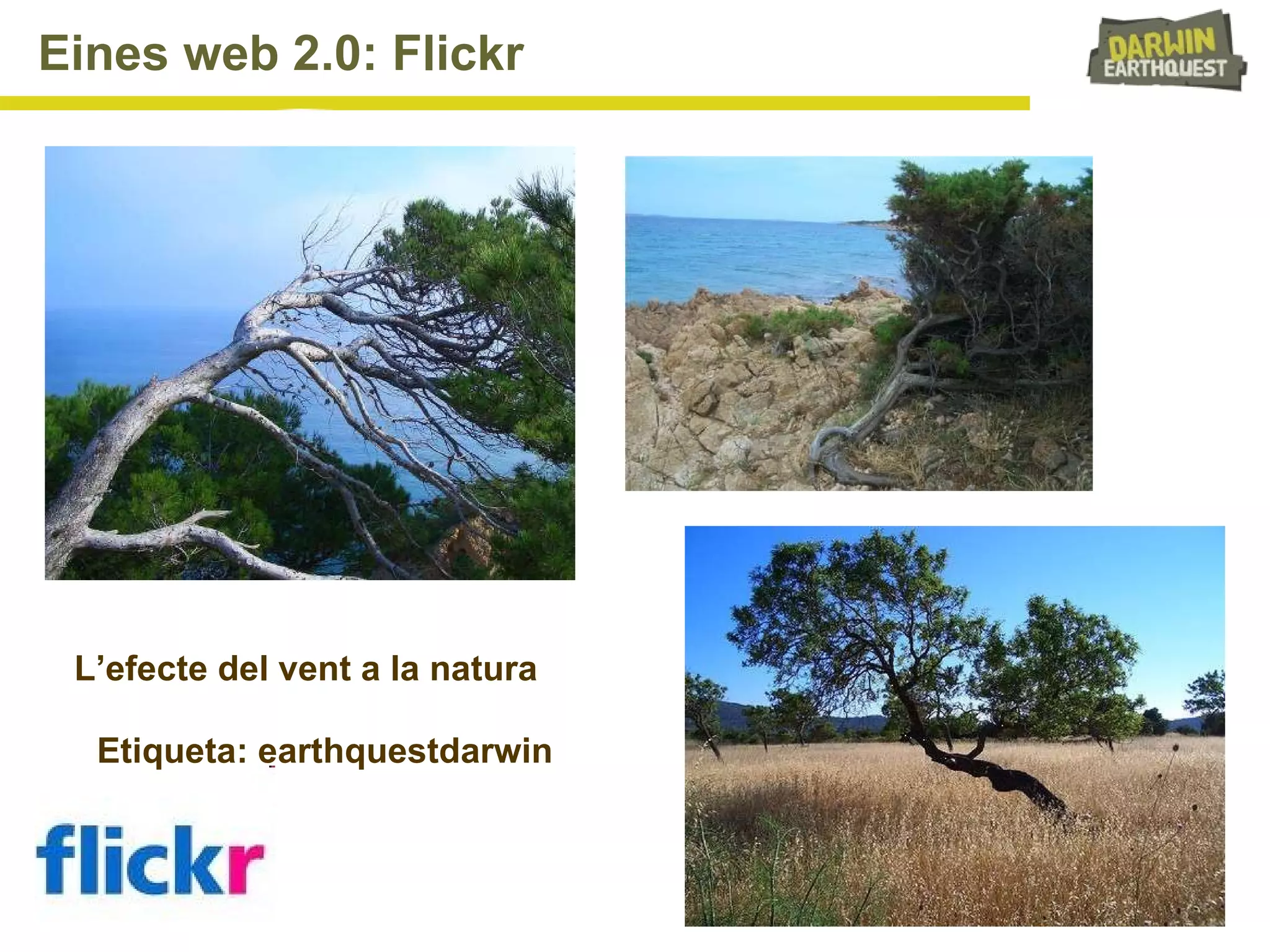 Eines web 2.0: Flickr L’efecte del vent a la natura Etiqueta: earthquestdarwin 