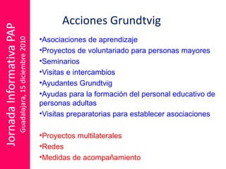 Asociaciones de aprendizaje Proyectos de voluntariado para personas mayores Seminarios Visitas e intercambios  Ayudantes Grundtvig  Ayudas para la formación del personal educativo de personas adultas Visitas preparatorias para establecer asociaciones Proyectos multilaterales Redes Medidas de acompañamiento Acciones Grundtvig 