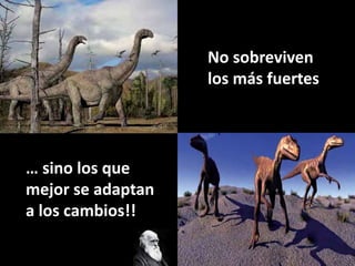 No sobreviven
los más fuertes
… sino los que
mejor se adaptan
a los cambios!!
 