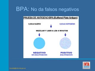 BPA: No da falsos negativos 
brucela@cnia.inta.gov.ar 
 