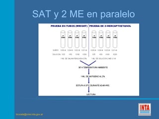 SAT y 2 ME en paralelo 
brucela@cnia.inta.gov.ar 
 