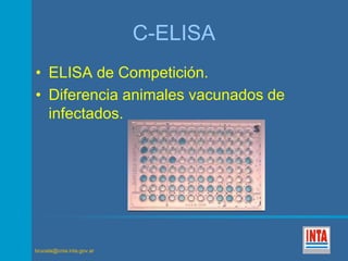 brucela@cnia.inta.gov.ar 
C-ELISA 
• ELISA de Competición. 
• Diferencia animales vacunados de 
infectados. 
 