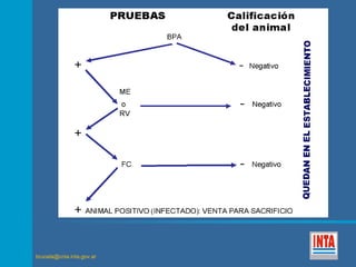 brucela@cnia.inta.gov.ar 
 