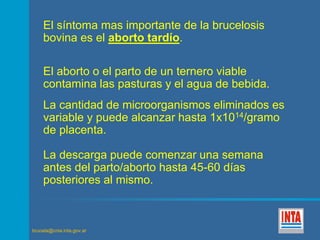 El síntoma mas importante de la brucelosis 
bovina es el aborto tardío. 
El aborto o el parto de un ternero viable 
contamina las pasturas y el agua de bebida. 
La cantidad de microorganismos eliminados es 
variable y puede alcanzar hasta 1x1014/gramo 
de placenta. 
La descarga puede comenzar una semana 
antes del parto/aborto hasta 45-60 días 
posteriores al mismo. 
brucela@cnia.inta.gov.ar 
 