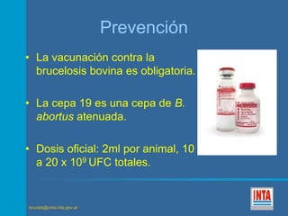 brucela@cnia.inta.gov.ar 
Prevención 
• La vacunación contra la 
brucelosis bovina es obligatoria. 
• La cepa 19 es una cepa de B. 
abortus atenuada. 
• Dosis oficial: 2ml por animal, 10 
a 20 x 109 UFC totales. 
 