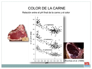 COLOR DE LA CARNE
Relación entre el pH final de la carne y el color
Purchas et al. (1999)
pH
 