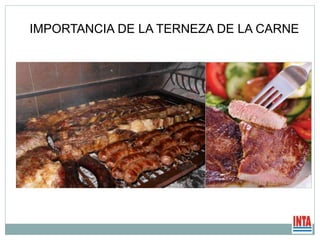 IMPORTANCIA DE LA TERNEZA DE LA CARNE
 