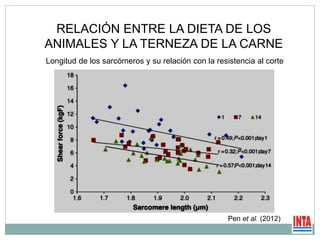 Pen et al. (2012)
Longitud de los sarcómeros y su relación con la resistencia al corte
RELACIÓN ENTRE LA DIETA DE LOS
ANIMALES Y LA TERNEZA DE LA CARNE
 