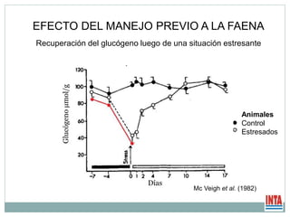 EFECTO DEL MANEJO PREVIO A LA FAENA
Recuperación del glucógeno luego de una situación estresante
Glucógenoµmol/g
Días
Mc Veigh et al. (1982)
Animales
Control
Estresados
 