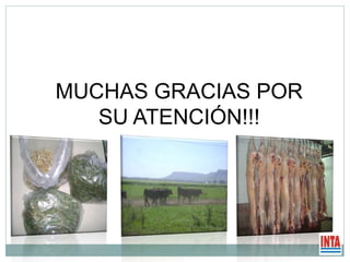 MUCHAS GRACIAS POR
SU ATENCIÓN!!!
 