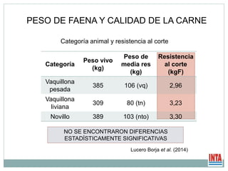 Categoría
Peso vivo
(kg)
Peso de
media res
(kg)
Resistencia
al corte
(kgF)
Vaquillona
pesada
385 106 (vq) 2,96
Vaquillona
liviana
309 80 (tn) 3,23
Novillo 389 103 (nto) 3,30
PESO DE FAENA Y CALIDAD DE LA CARNE
NO SE ENCONTRARON DIFERENCIAS
ESTADÍSTICAMENTE SIGNIFICATIVAS
Lucero Borja et al. (2014)
Categoría animal y resistencia al corte
 