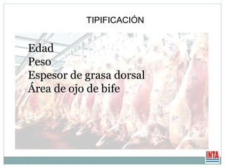 TIPIFICACIÓN
Edad
Peso
Espesor de grasa dorsal
Área de ojo de bife
 
