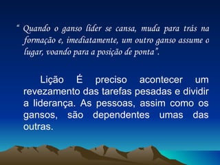 “  Quando o ganso líder se cansa, muda para trás na formação e, imediatamente, um outro ganso assume o lugar, voando para a posição de ponta”. Lição É preciso acontecer um revezamento das tarefas pesadas e dividir a liderança. As pessoas, assim como os gansos, são dependentes umas das outras. 