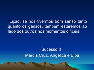 Lição: se nós tivermos bom senso tanto quanto os gansos, também estaremos ao lado dos outros nos momentos difíceis. Sucesso!!! Márcia Cruz, Angélica e Elba 
