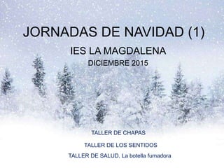 JORNADAS DE NAVIDAD (1)
IES LA MAGDALENA
DICIEMBRE 2015
TALLER DE CHAPAS
TALLER DE LOS SENTIDOS
TALLER DE SALUD. La botella fumadora
 