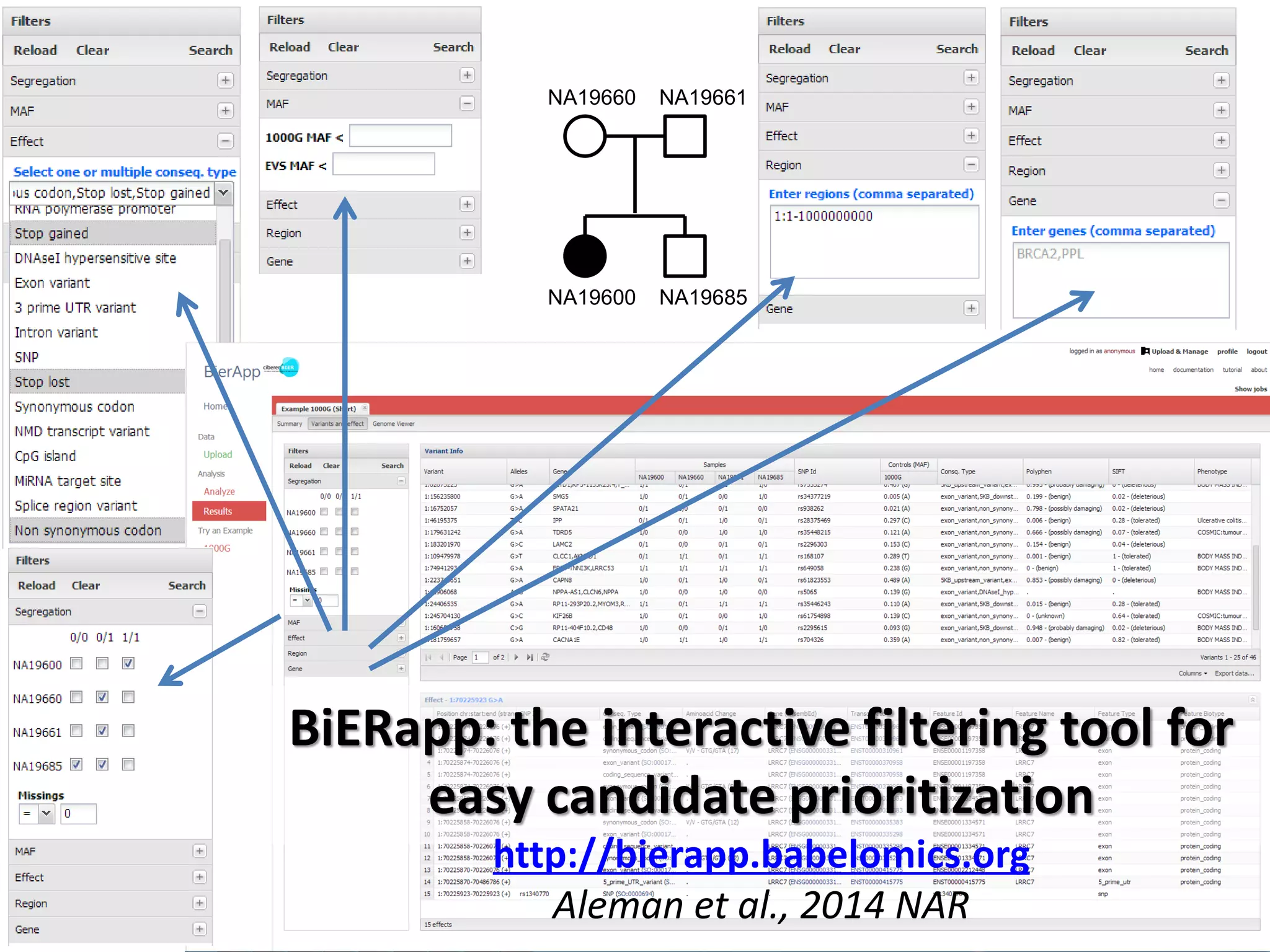 NA19660 NA19661 
NA19600 NA19685 
BiERapp: the interactive filtering tool for easy candidate prioritization 
http://bierapp.babelomics.org 
Aleman et al., 2014 NAR  